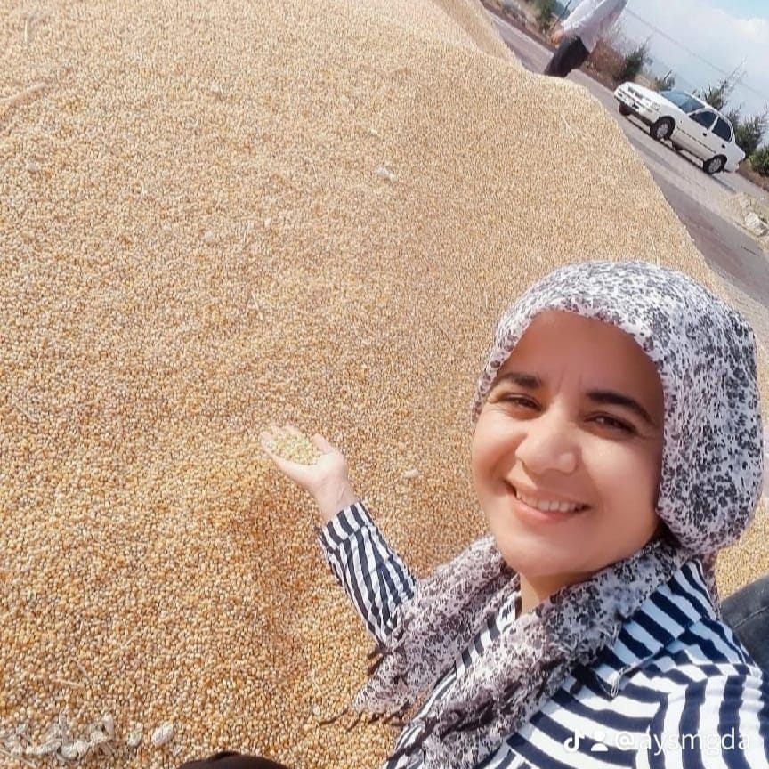 Ayşem Gıda Elbistan Doğal Bulgur ve Tahıllar